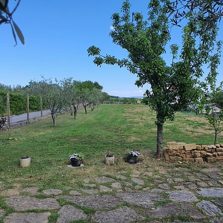 Apartma Vista Baredi Izola Exteriör bild