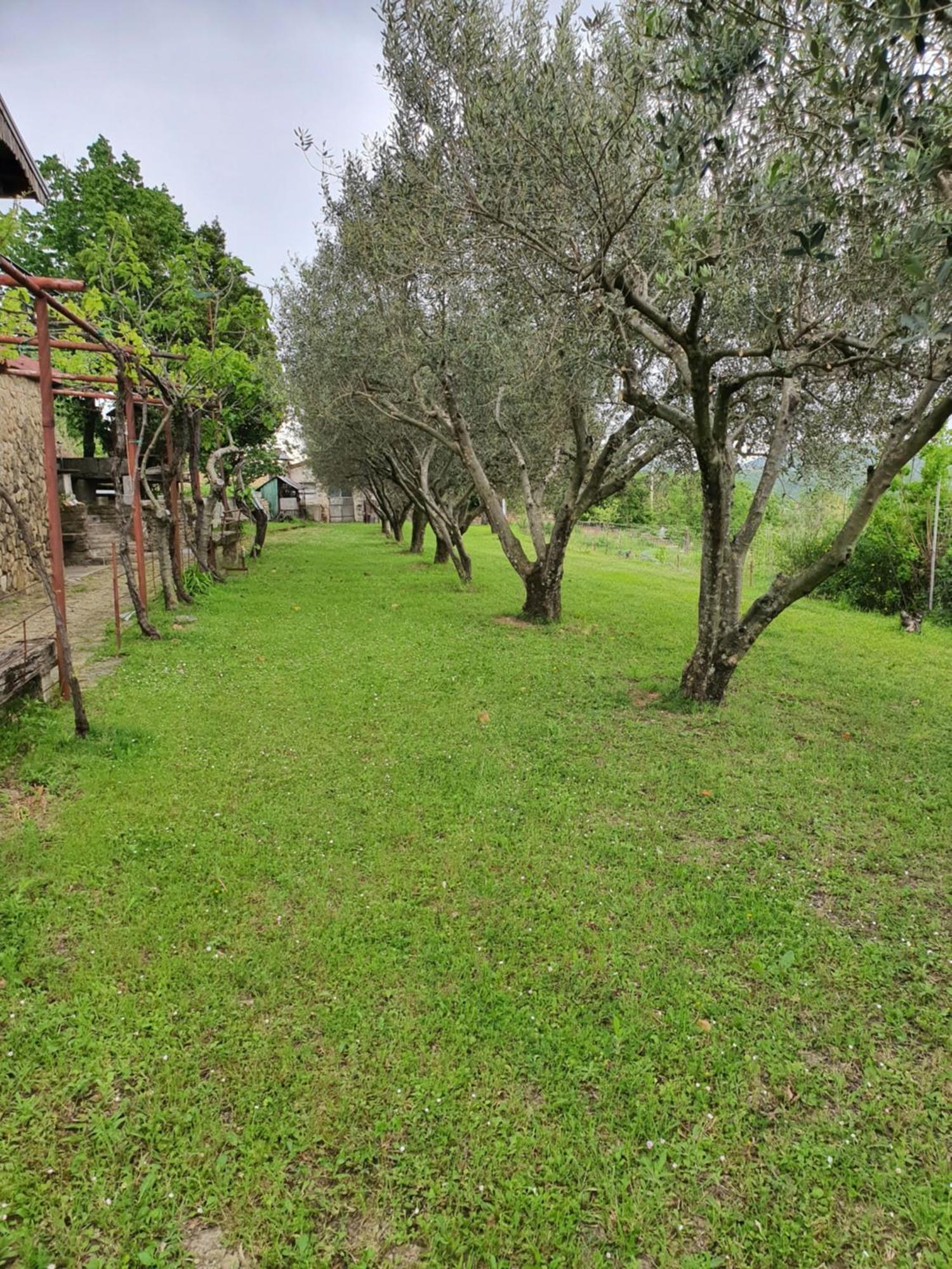 Apartma Vista Baredi Izola Exteriör bild