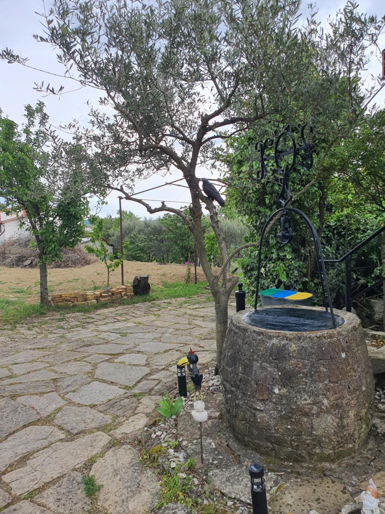Apartma Vista Baredi Izola Exteriör bild