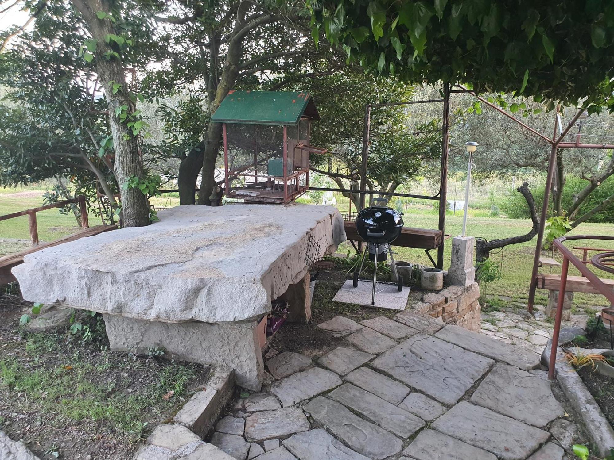 Apartma Vista Baredi Izola Exteriör bild