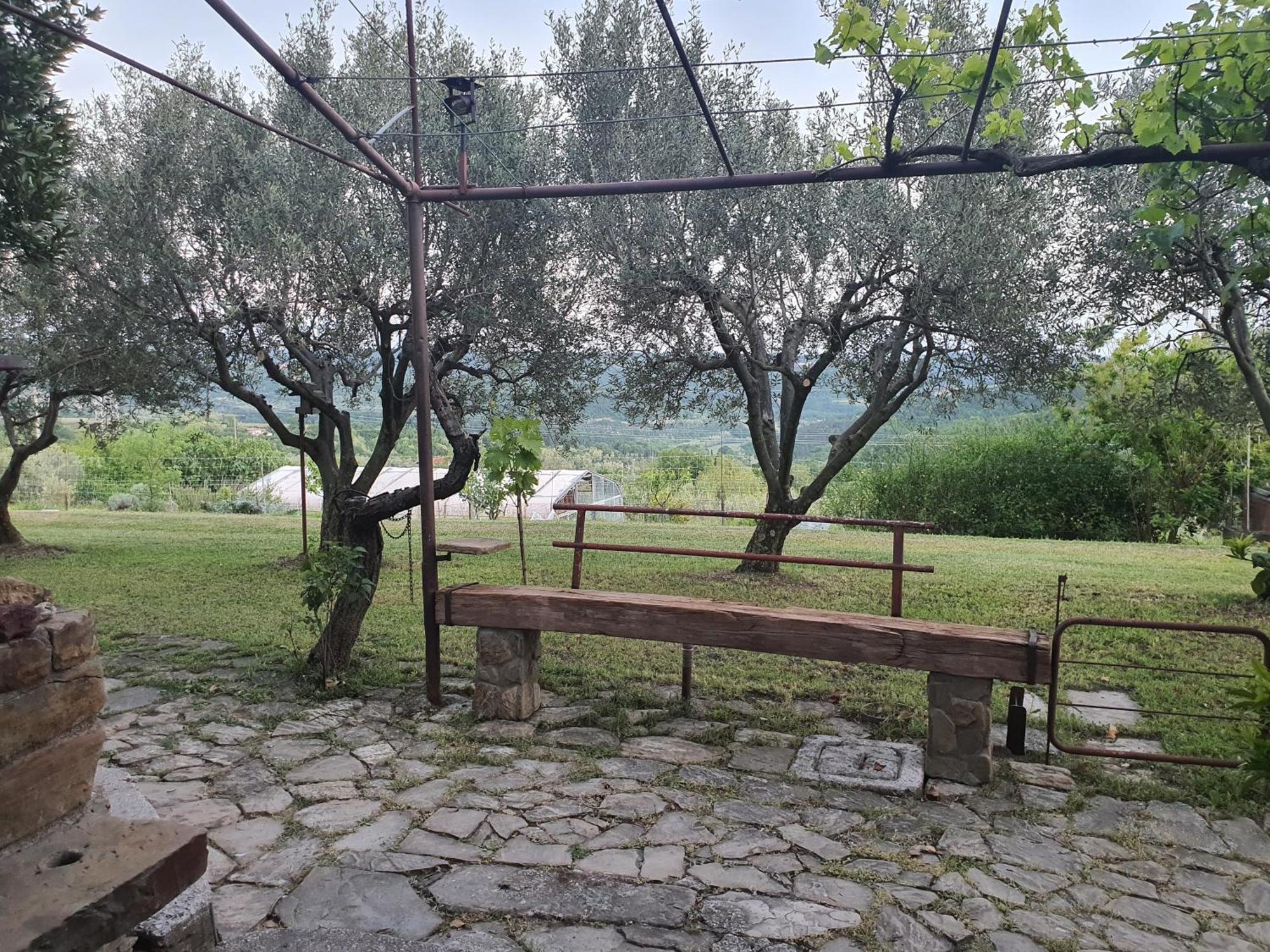 Apartma Vista Baredi Izola Exteriör bild
