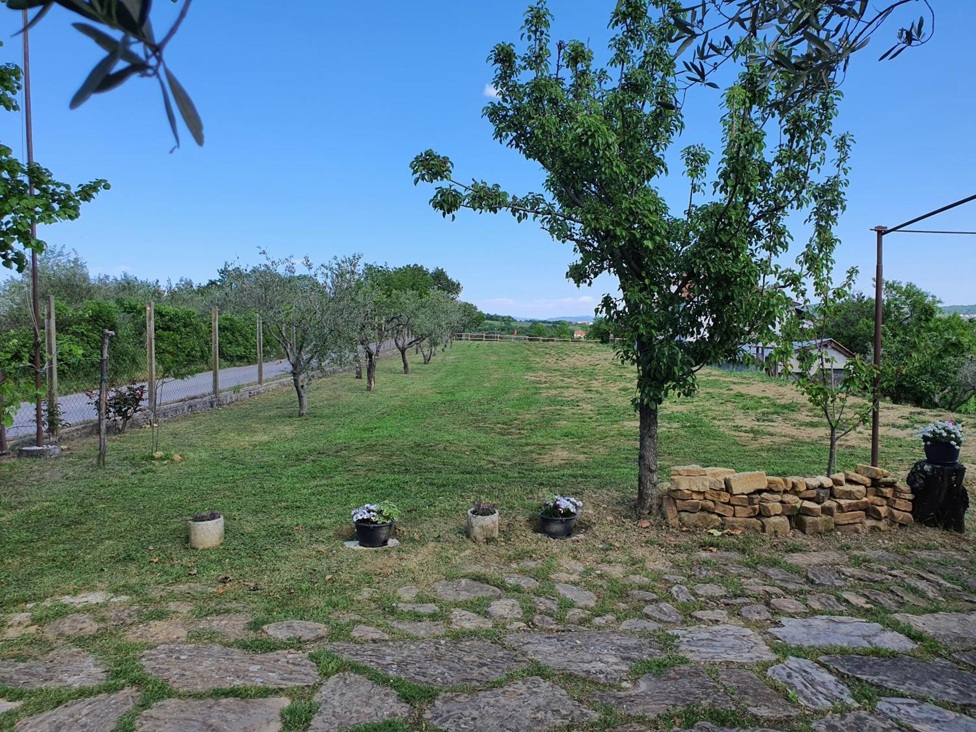 Apartma Vista Baredi Izola Exteriör bild